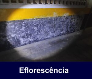 Imagem do WhatsApp de 2025-10-07 à(s) 10.55.01_3a9d3923